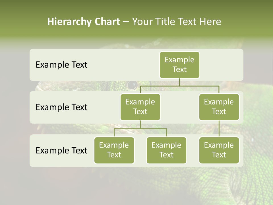 Green Backgrounds Nature PowerPoint Template