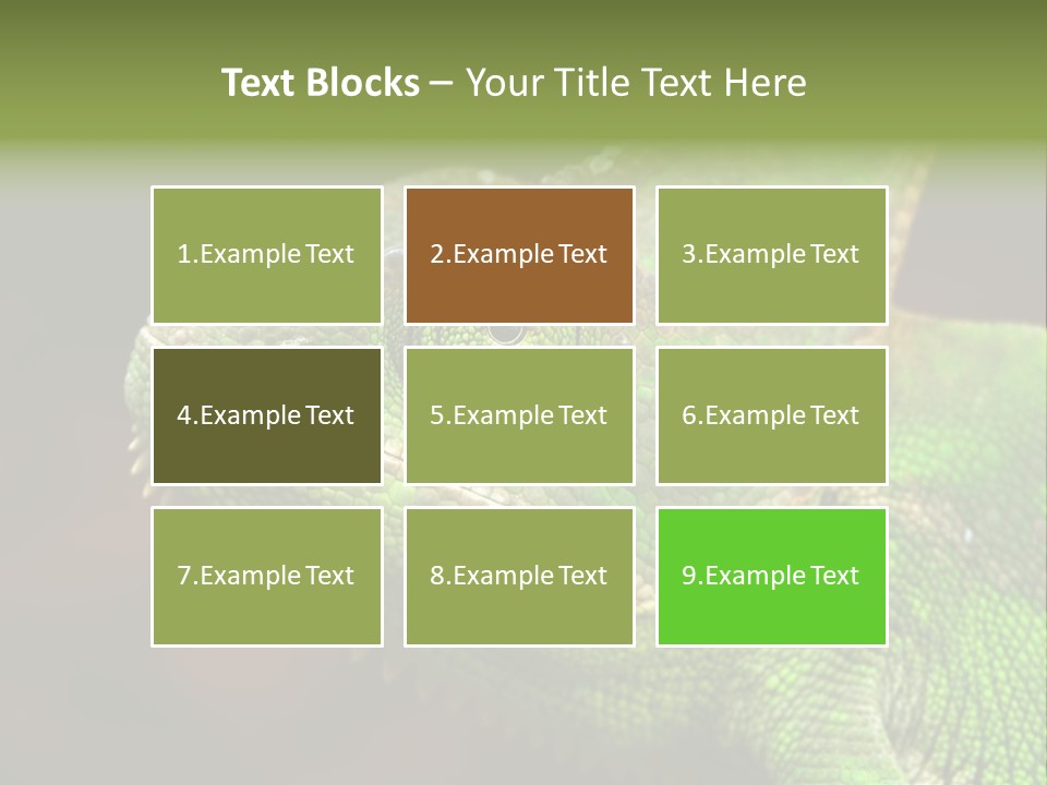 Green Backgrounds Nature PowerPoint Template