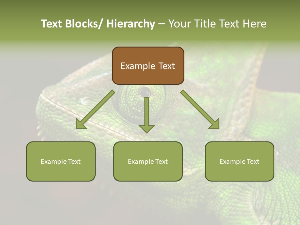 Green Backgrounds Nature PowerPoint Template