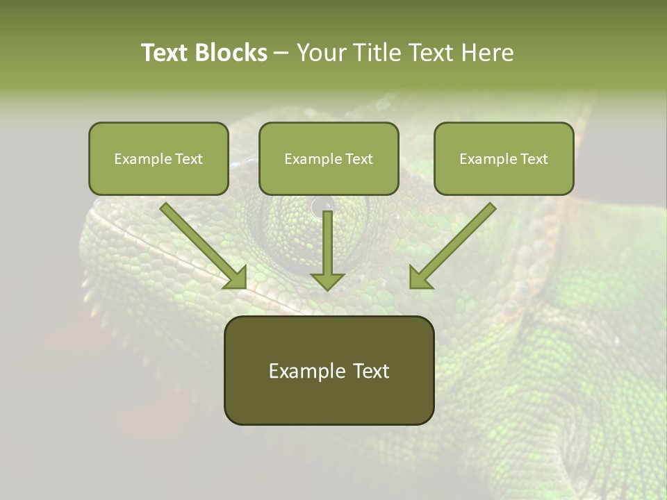 Green Backgrounds Nature PowerPoint Template