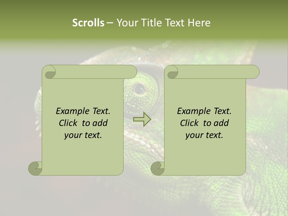 Green Backgrounds Nature PowerPoint Template