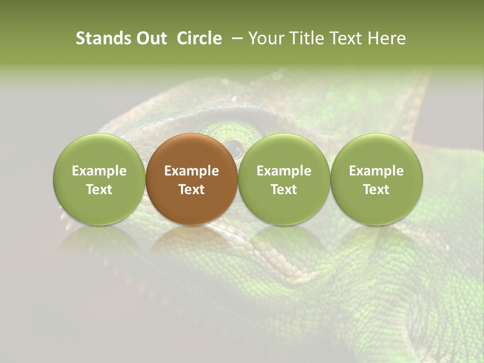 Green Backgrounds Nature PowerPoint Template