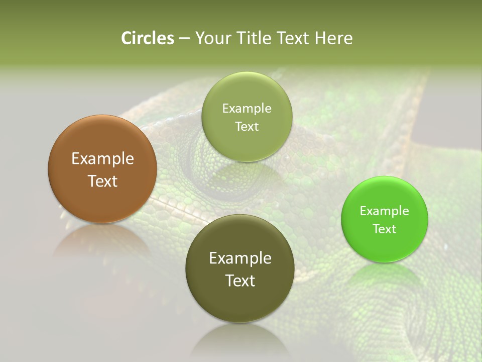 Green Backgrounds Nature PowerPoint Template