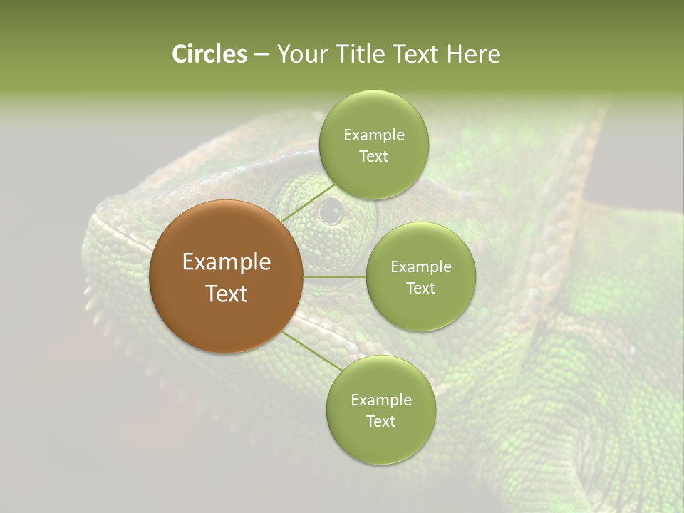 Green Backgrounds Nature PowerPoint Template