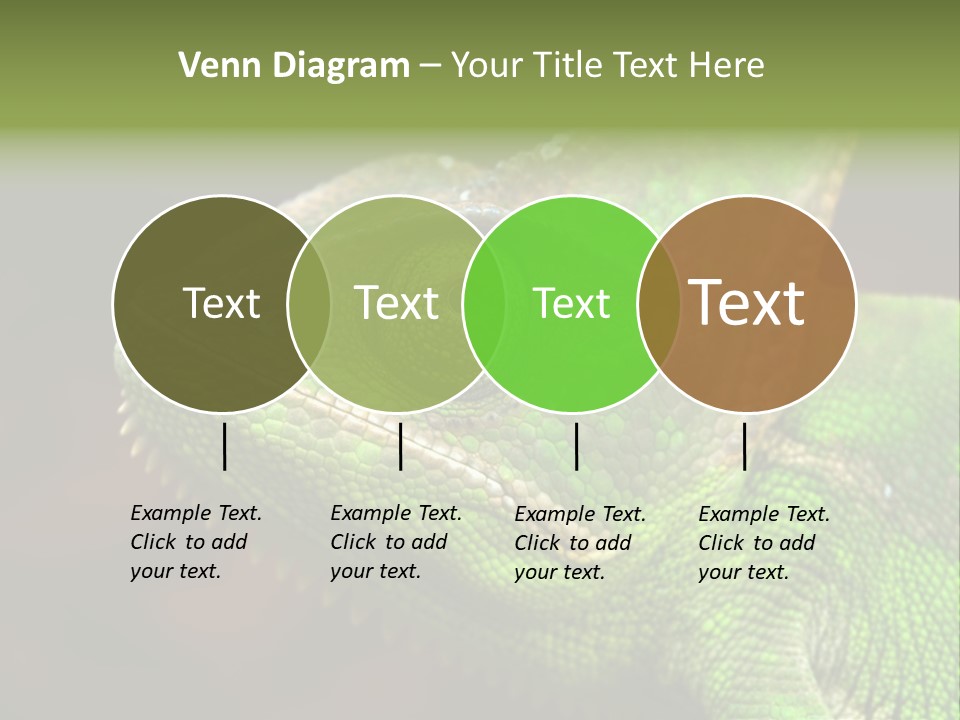Green Backgrounds Nature PowerPoint Template