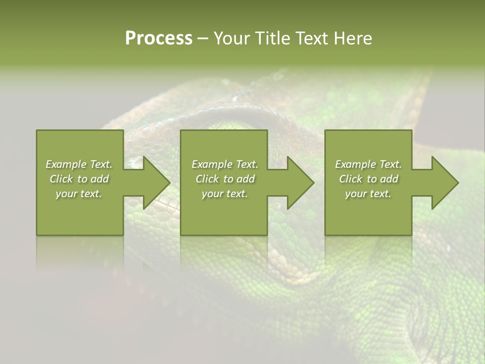 Green Backgrounds Nature PowerPoint Template