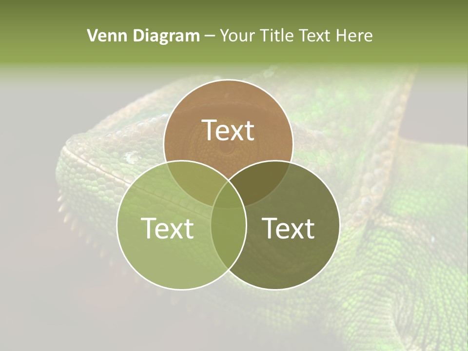 Green Backgrounds Nature PowerPoint Template