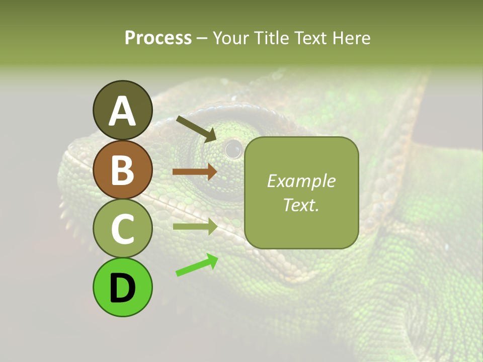 Green Backgrounds Nature PowerPoint Template