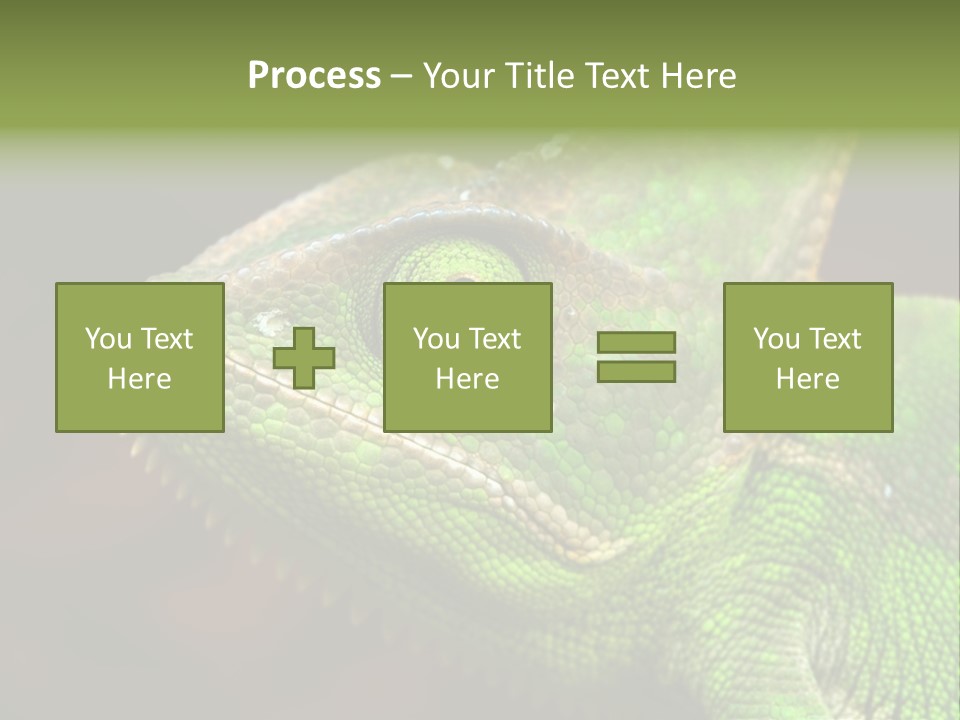 Green Backgrounds Nature PowerPoint Template