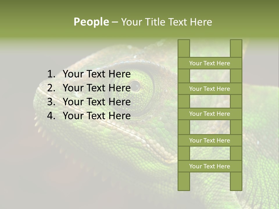 Green Backgrounds Nature PowerPoint Template