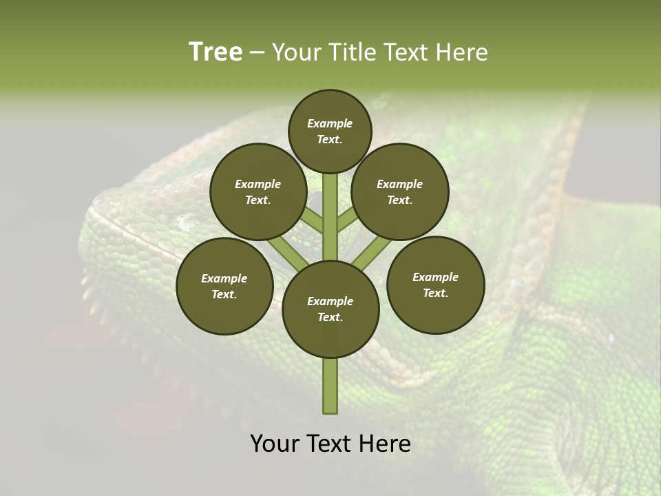 Green Backgrounds Nature PowerPoint Template