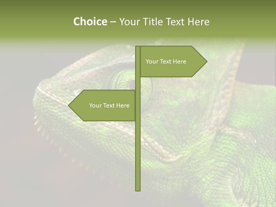 Green Backgrounds Nature PowerPoint Template