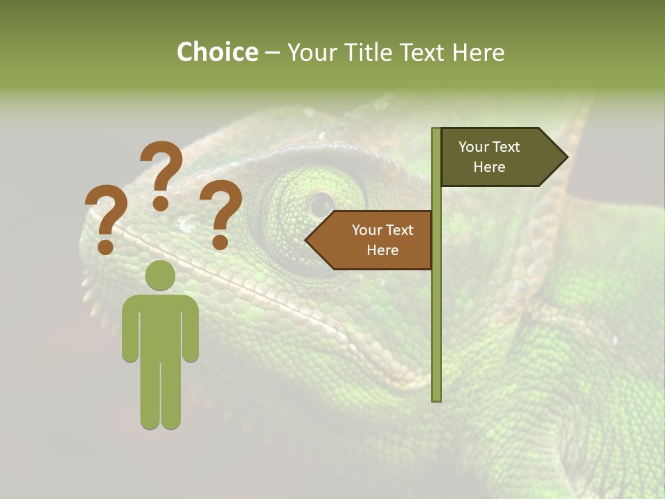 Green Backgrounds Nature PowerPoint Template