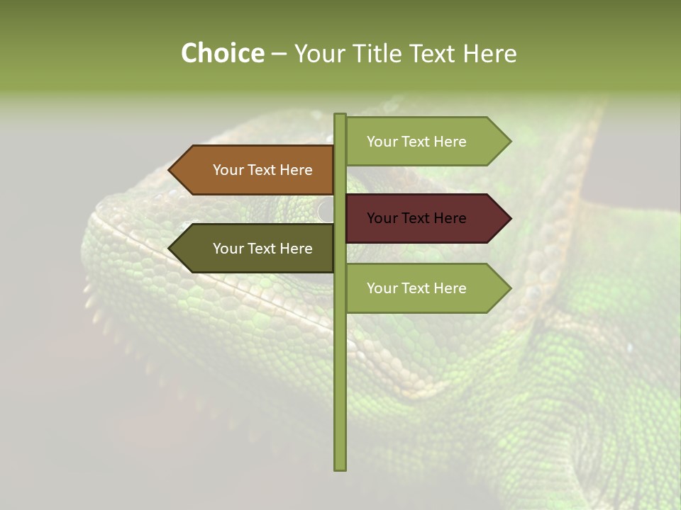 Green Backgrounds Nature PowerPoint Template