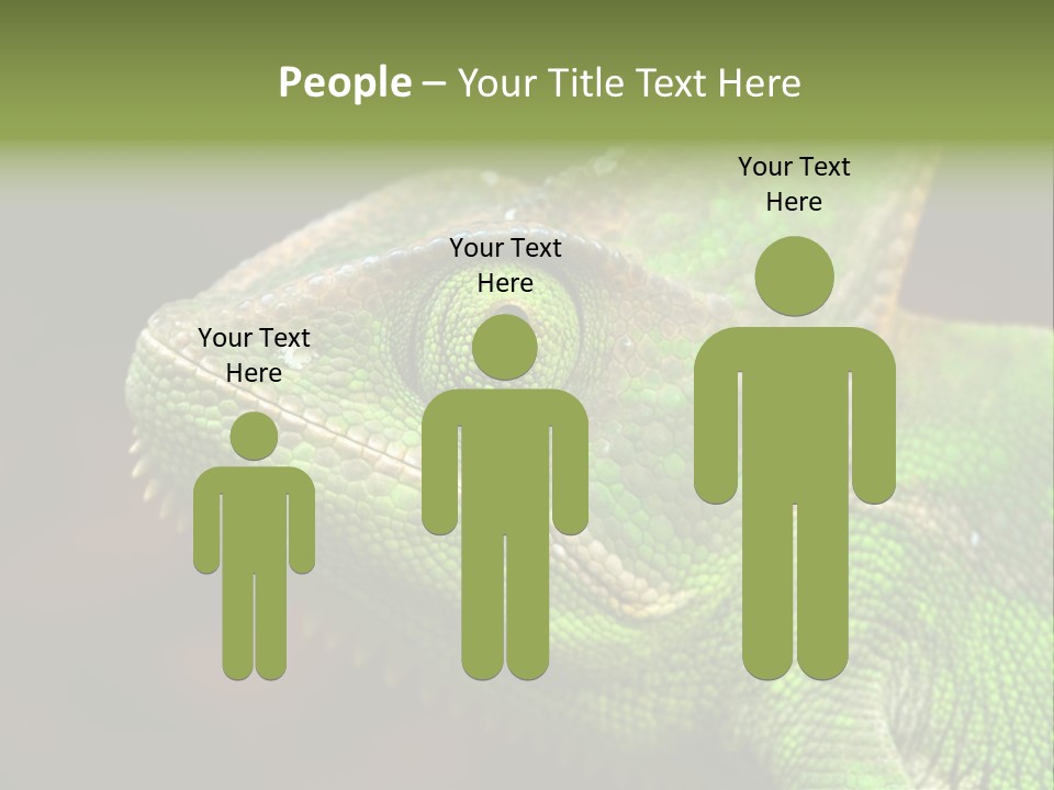 Green Backgrounds Nature PowerPoint Template