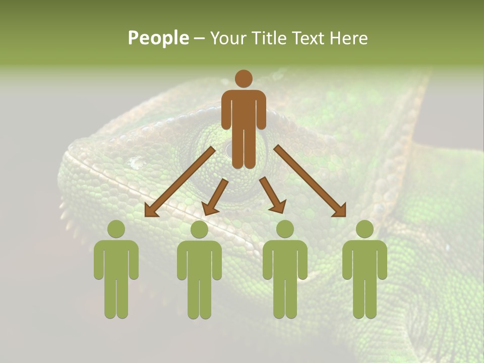 Green Backgrounds Nature PowerPoint Template