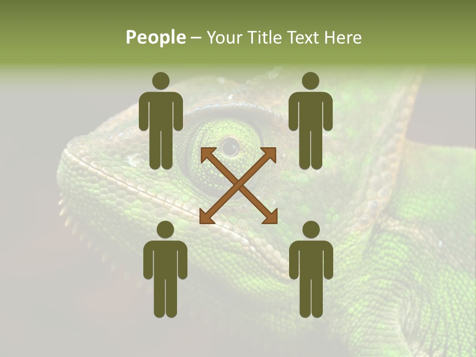 Green Backgrounds Nature PowerPoint Template