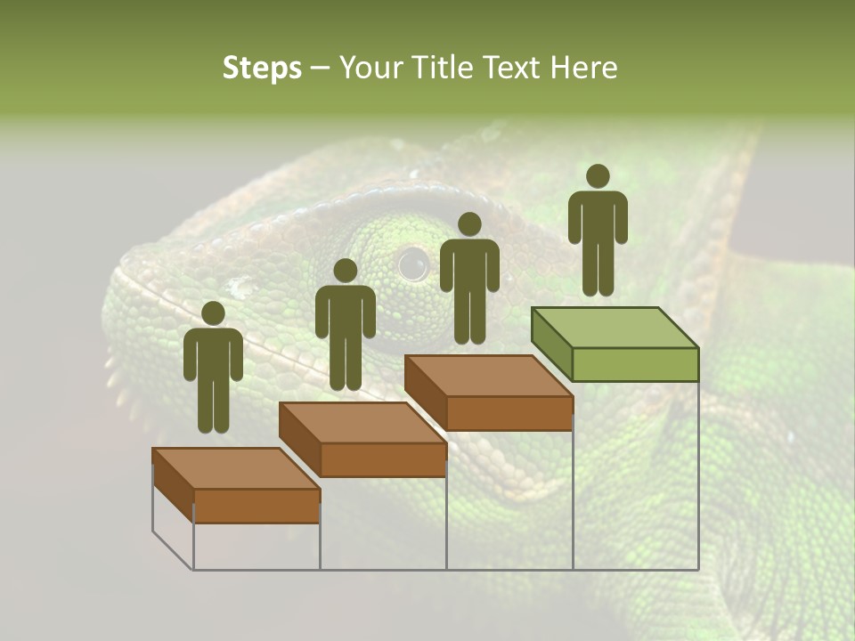 Green Backgrounds Nature PowerPoint Template