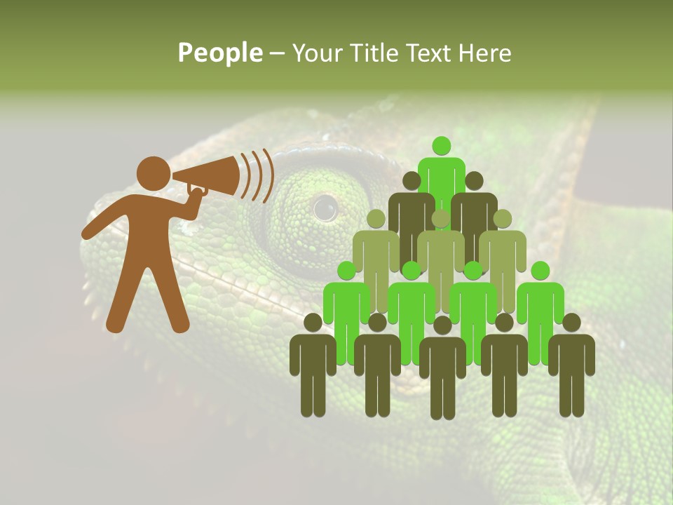 Green Backgrounds Nature PowerPoint Template