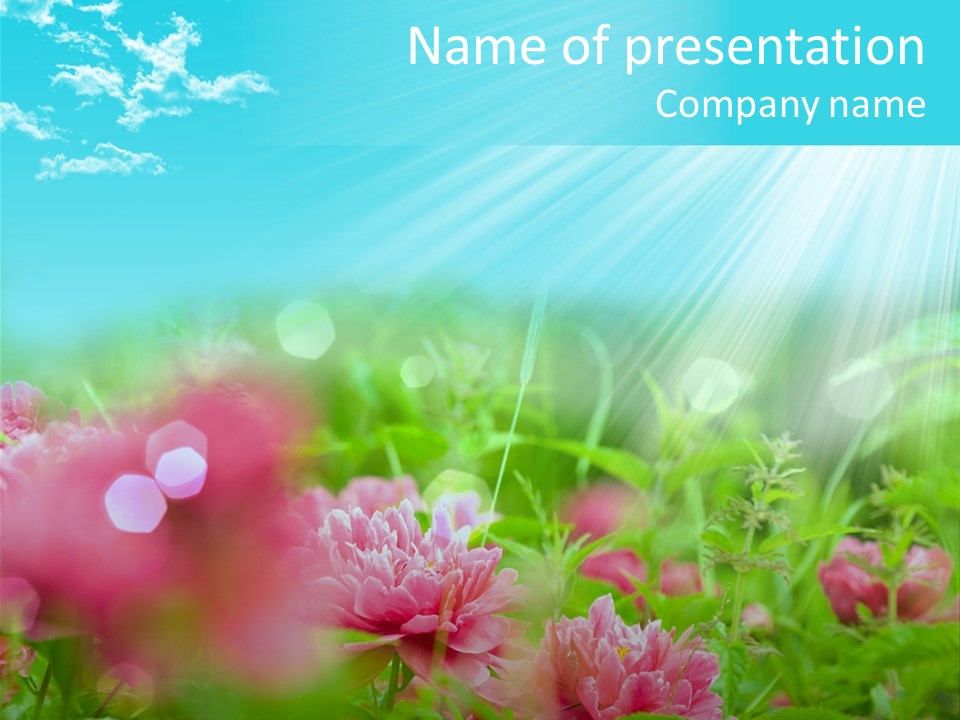 Nature Elements Seasonal PowerPoint Template