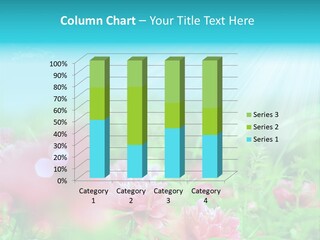 Nature Elements Seasonal PowerPoint Template