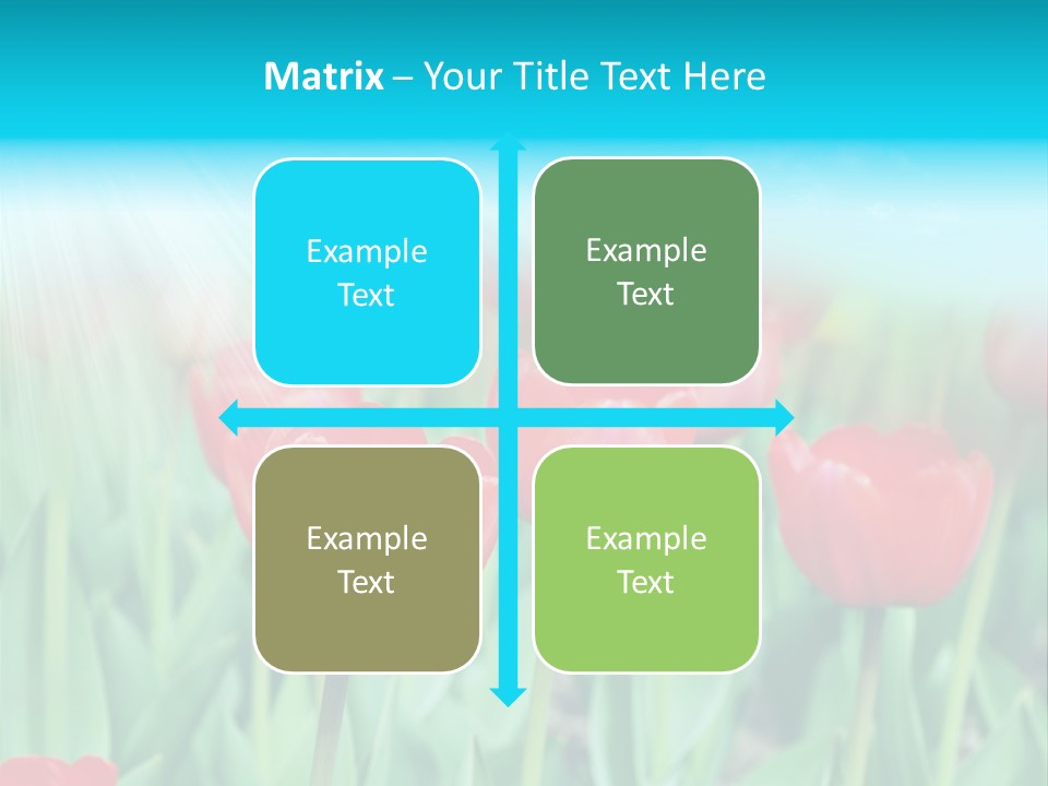 A Field Of Red Tulips With A Blue Sky In The Background PowerPoint Template