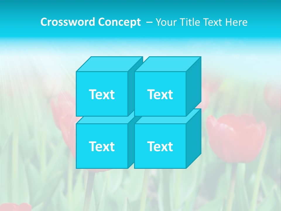 A Field Of Red Tulips With A Blue Sky In The Background PowerPoint Template