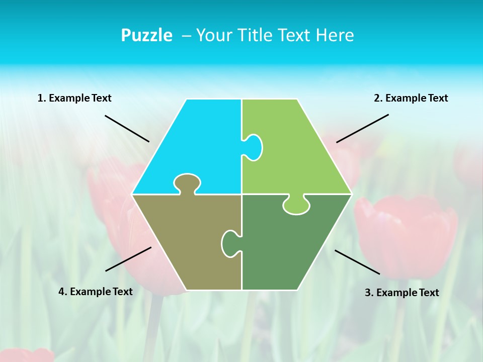 A Field Of Red Tulips With A Blue Sky In The Background PowerPoint Template