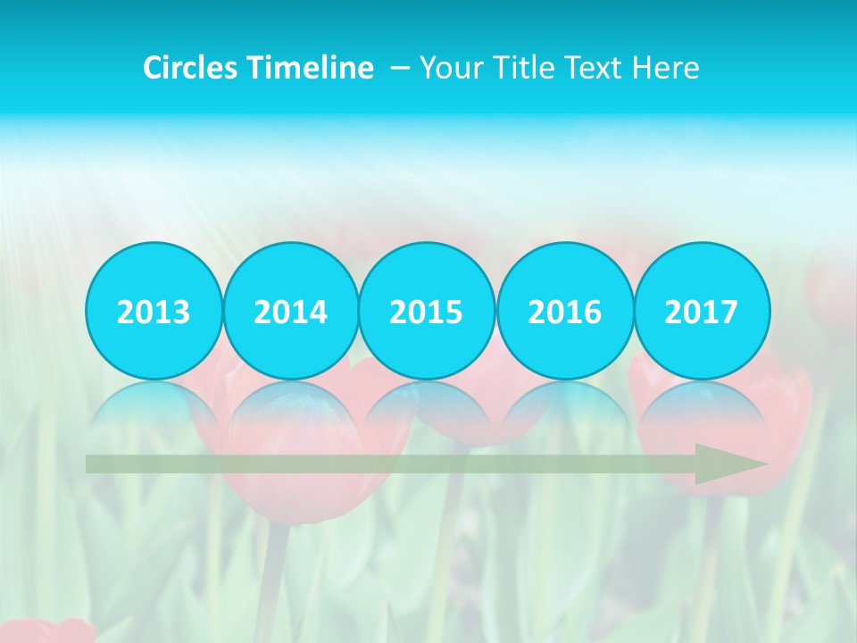 A Field Of Red Tulips With A Blue Sky In The Background PowerPoint Template