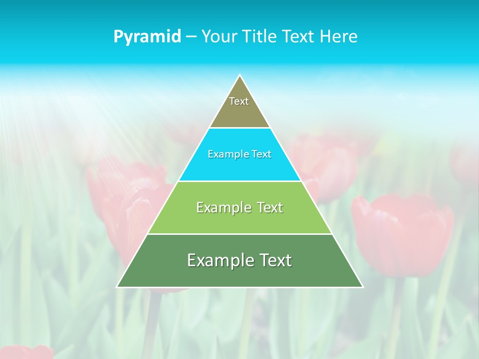 A Field Of Red Tulips With A Blue Sky In The Background PowerPoint Template