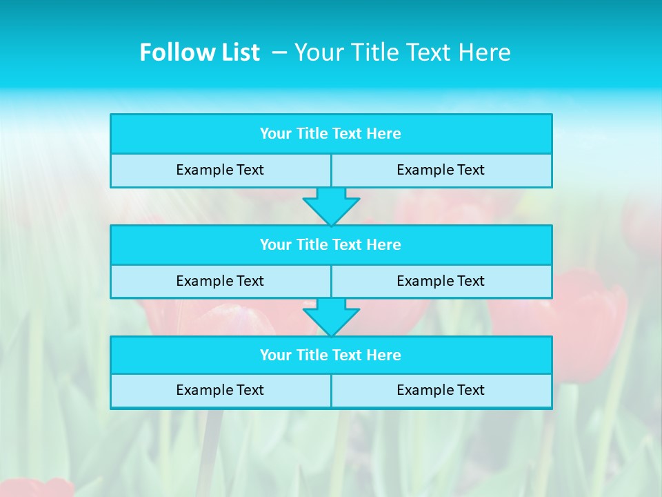 A Field Of Red Tulips With A Blue Sky In The Background PowerPoint Template