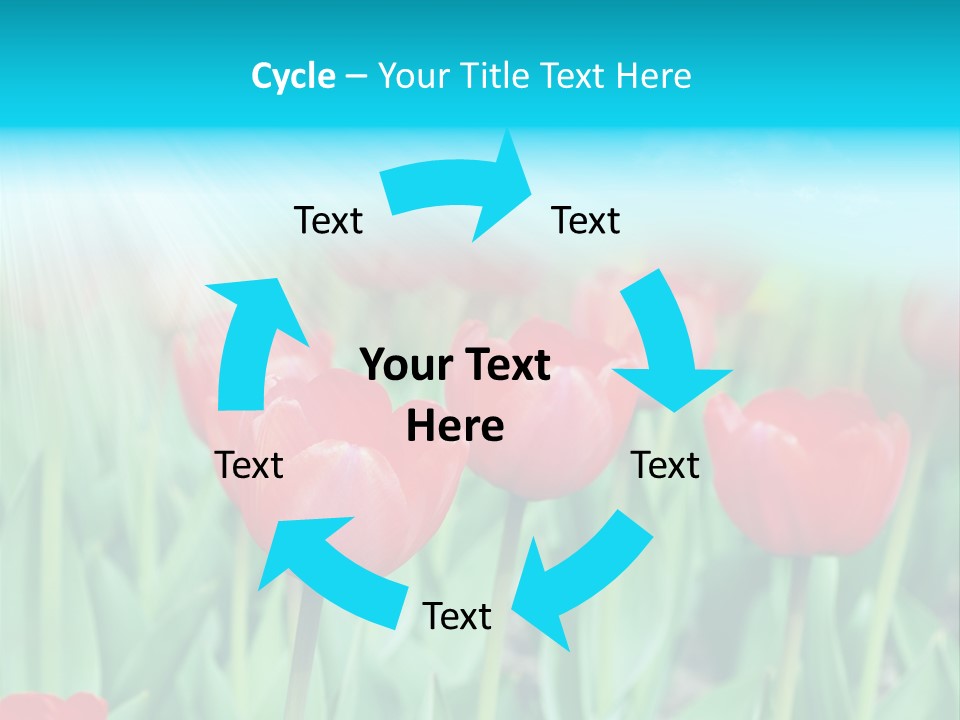 A Field Of Red Tulips With A Blue Sky In The Background PowerPoint Template