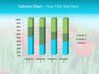 A Field Of Red Tulips With A Blue Sky In The Background PowerPoint Template
