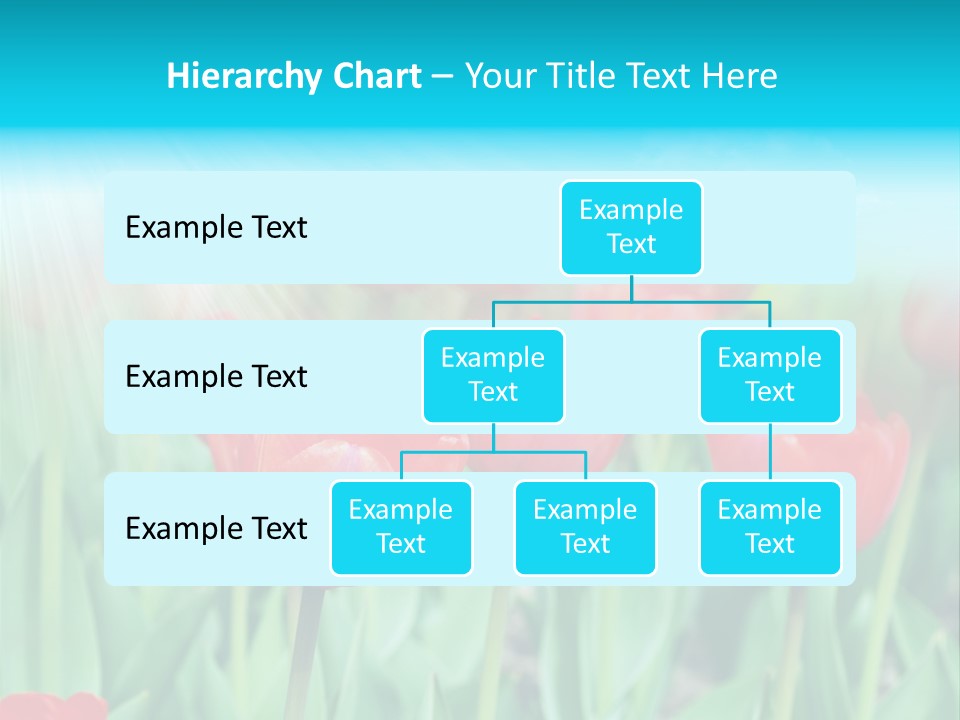 A Field Of Red Tulips With A Blue Sky In The Background PowerPoint Template