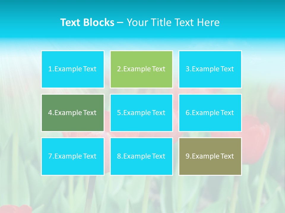 A Field Of Red Tulips With A Blue Sky In The Background PowerPoint Template