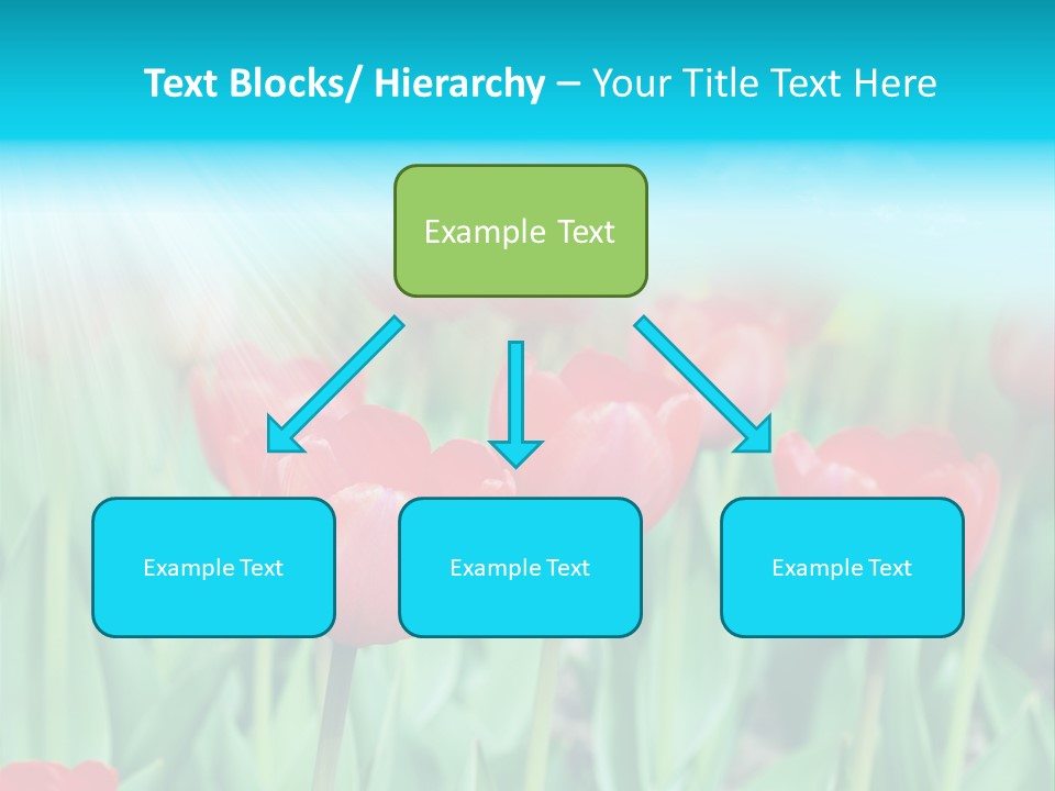 A Field Of Red Tulips With A Blue Sky In The Background PowerPoint Template