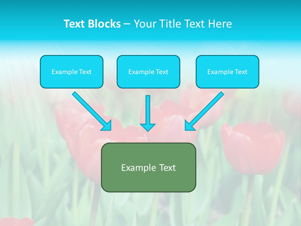 A Field Of Red Tulips With A Blue Sky In The Background PowerPoint Template
