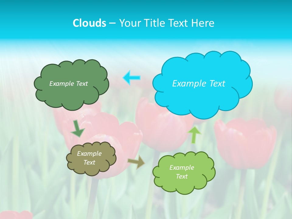A Field Of Red Tulips With A Blue Sky In The Background PowerPoint Template