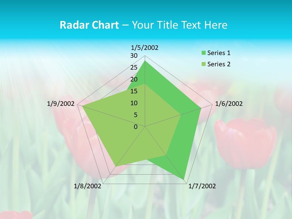 A Field Of Red Tulips With A Blue Sky In The Background PowerPoint Template