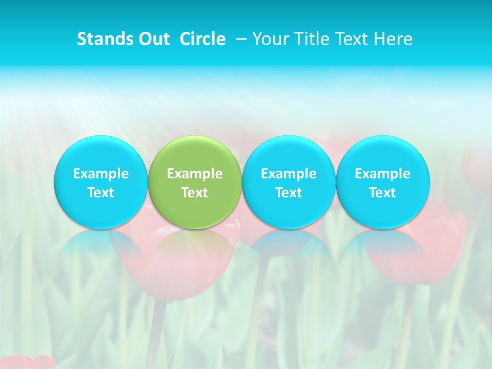 A Field Of Red Tulips With A Blue Sky In The Background PowerPoint Template
