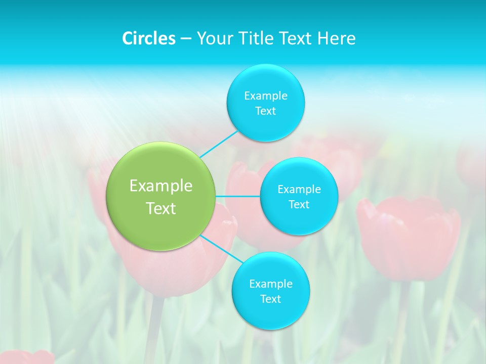 A Field Of Red Tulips With A Blue Sky In The Background PowerPoint Template