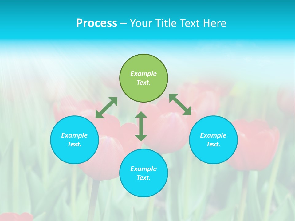 A Field Of Red Tulips With A Blue Sky In The Background PowerPoint Template