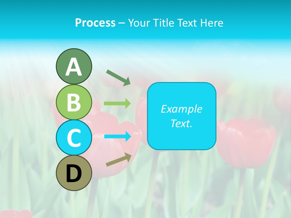 A Field Of Red Tulips With A Blue Sky In The Background PowerPoint Template