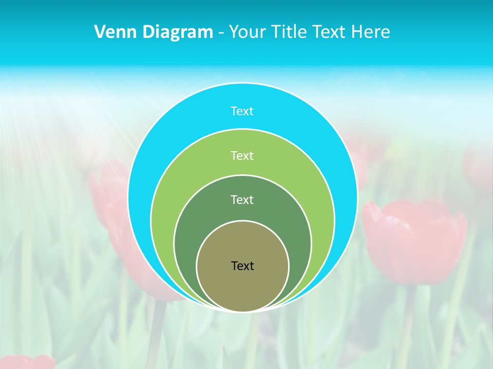 A Field Of Red Tulips With A Blue Sky In The Background PowerPoint Template