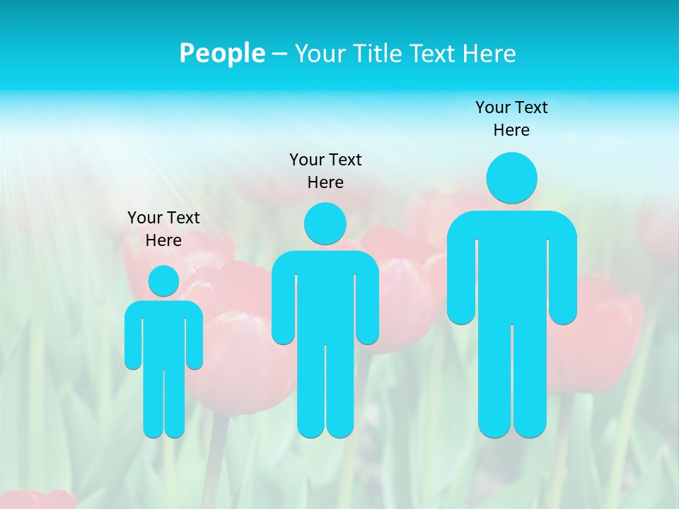 A Field Of Red Tulips With A Blue Sky In The Background PowerPoint Template