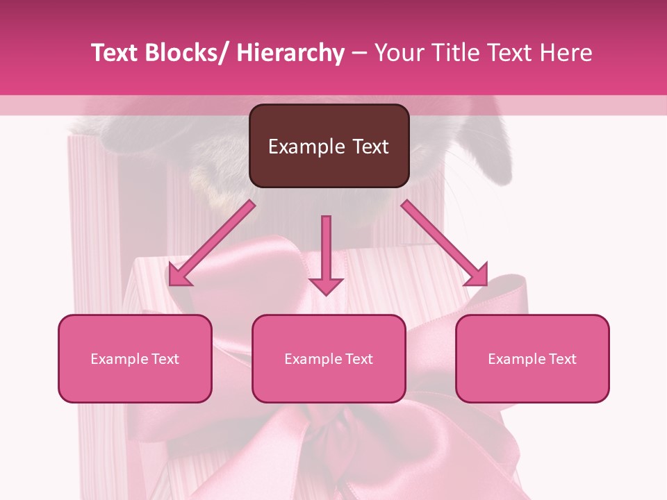 Male Freestyle Motion PowerPoint Template