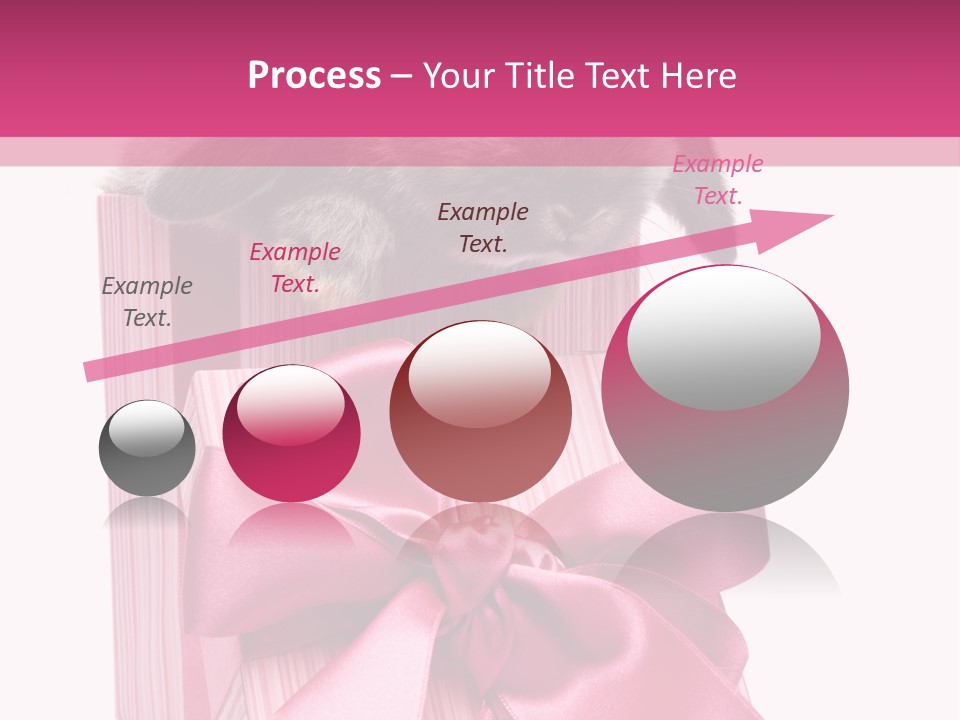 Male Freestyle Motion PowerPoint Template