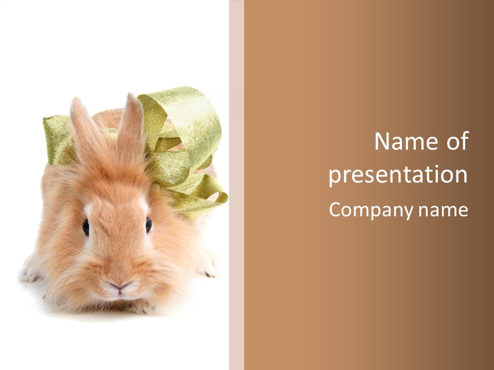 A Brown Bunny With A Green Bow On Its Head PowerPoint Template