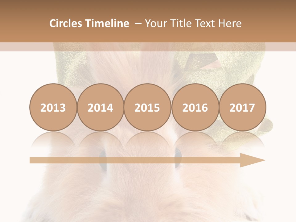 A Brown Bunny With A Green Bow On Its Head PowerPoint Template