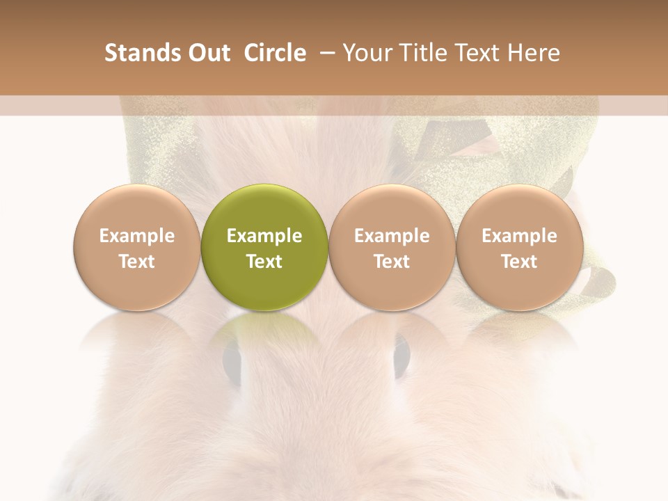 A Brown Bunny With A Green Bow On Its Head PowerPoint Template